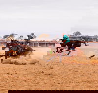 Birdsville Campdraft  Rodeo and Bronco Branding - Tourism Adelaide