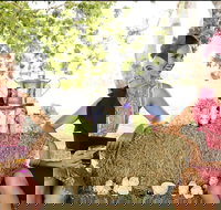 Burdekin Growers Race Day - Tourism Adelaide