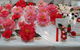 Camellia's Australia National Camellia Show - thumb 1