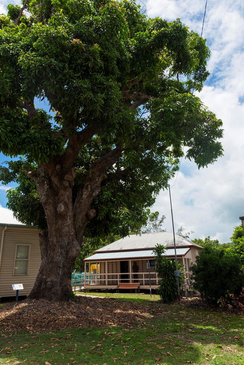 Cardwell Pioneers Tour - Tourism Adelaide 1