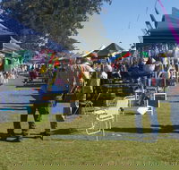 Casino Golf Club Markets - Tourism Adelaide