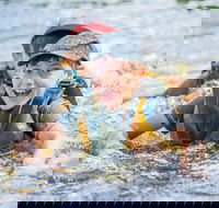 Cave Hill Creek Summer Camp - Tourism Adelaide