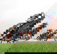 Christmas Cup Race Day - Tourism Adelaide