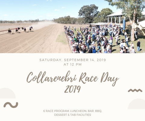 Collarenebri Races - Tourism Adelaide 0