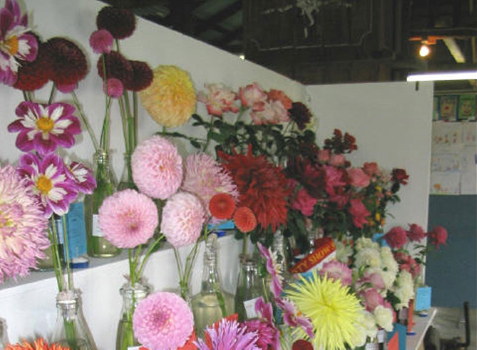 Beloka NSW Tourism Adelaide