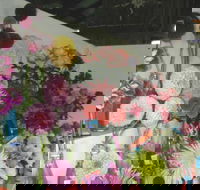 Dalgety Show - Tourism Adelaide