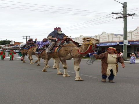 Dowling Street Christmas Party - Tourism Adelaide 0