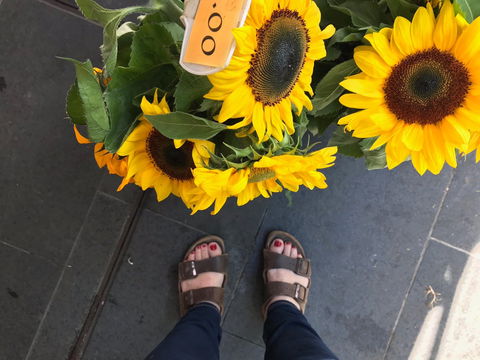 Friday Forage - Tourism Adelaide 0