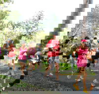 Gladstone Weekly Parkrun - Tourism Adelaide