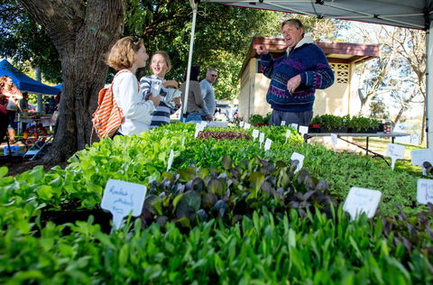 Gladstone Quality Markets - Tourism Adelaide 2