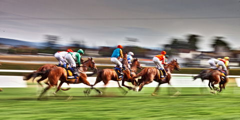 Grafton July Racing Carnival - Tourism Adelaide 0