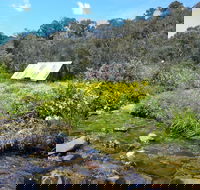 Hedonistic Hiking's Falls Creek to Hotham - Tourism Adelaide