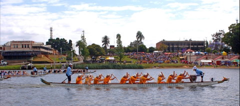 Jacaranda Dragon Boat Races - Tourism Adelaide 0