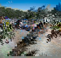 JetBlack Wild Wombat MTB Challenge - Tourism Adelaide