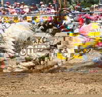 Jindabyne's Man From Snowy River Rodeo - Tourism Adelaide
