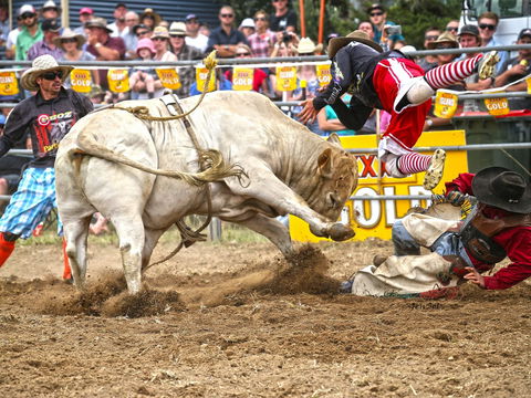 Jindabyne's Man From Snowy River Rodeo - Tourism Adelaide 0