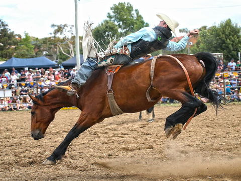 Jindabyne's Man From Snowy River Rodeo - Tourism Adelaide 1