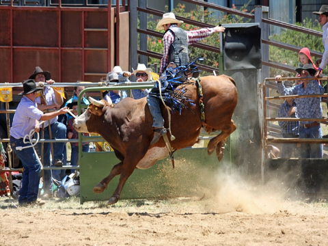 Jindabyne's Man From Snowy River Rodeo - Tourism Adelaide 2