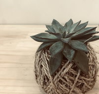 Kokedama Workshop - Tourism Adelaide