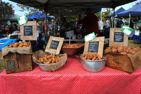 Lawson Park Markets - Tourism Adelaide 0