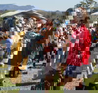Lovedale Long Lunch - Tourism Adelaide