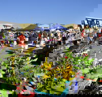 Maclean Community Monthly Markets - Tourism Adelaide