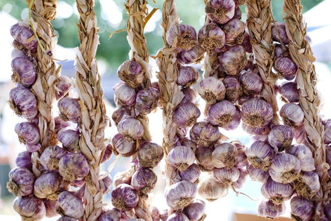 Meeniyan Garlic Festival - Tourism Adelaide 0