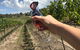 Megalong Creek Estate Fathers Day - thumb 0