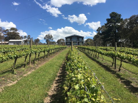 Mortimer's Diploma Of Taste - Tourism Adelaide 0