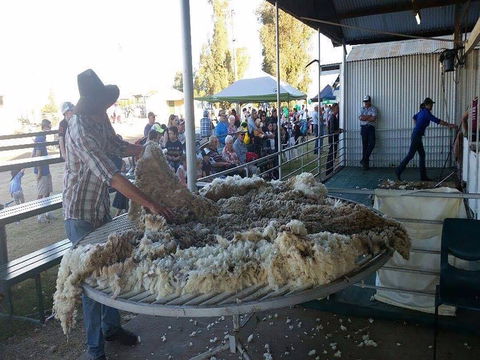 Narrabri Show - Tourism Adelaide 0