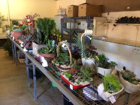 Narrabri Show - Tourism Adelaide 2