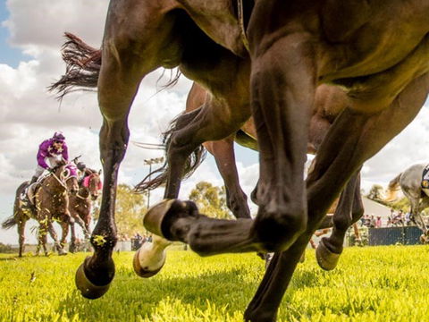 Night Markets And Race Day - Tourism Adelaide 0