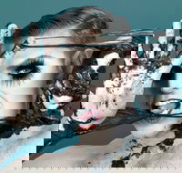 Reuben Kaye Comes Out to Play - Tourism Adelaide