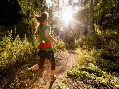 Run Dungog - Tourism Adelaide 0