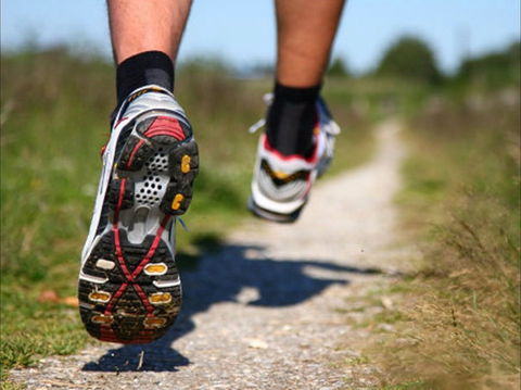 Run Dungog - Tourism Adelaide 1