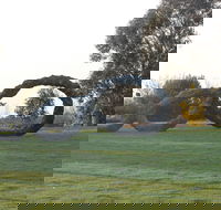 SculptureShaw - Tourism Adelaide
