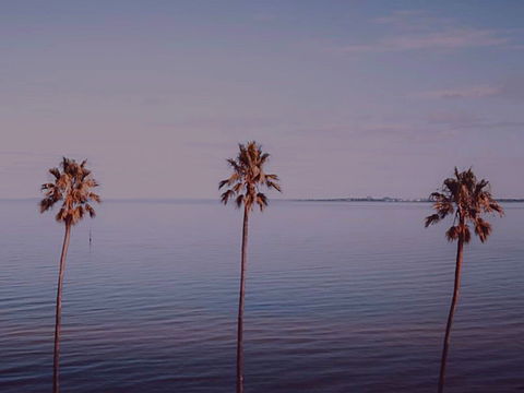 Sunset Streaming Live DJ Streams - Tourism Adelaide 0