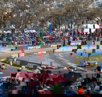 Supercars Supercheap Auto Bathurst 1000 - Tourism Adelaide