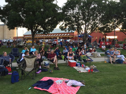 Temora New Years Family Fun Night - Tourism Adelaide 0