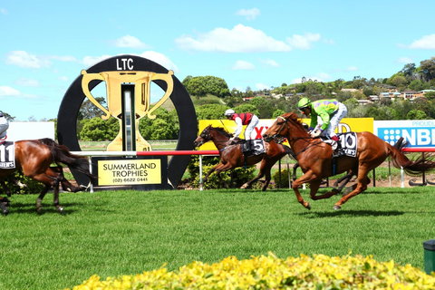 The O’Brien Electrical And Plumbing Lismore Cup - Tourism Adelaide 1