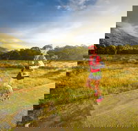 Trail Run Australia  Snowy Mountains - Tourism Adelaide