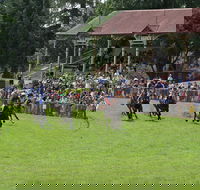 Tumut Derby Day - Tourism Adelaide