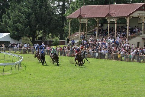 Tumut Derby Day - Tourism Adelaide 0