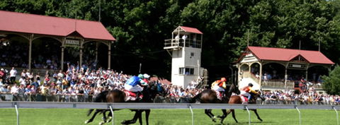 Tumut Derby Day - Tourism Adelaide 1