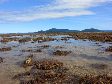 Walk To The Reef - Tourism Adelaide 0