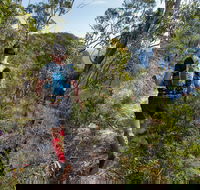 Wild Earth Coastal High 50 - Tourism Adelaide