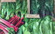 Albury Wodonga Farmers Market - thumb 0