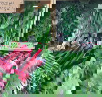 Albury Wodonga Farmers Market - Tourism Adelaide