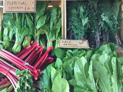 Albury Wodonga Farmers Market - Tourism Adelaide 0