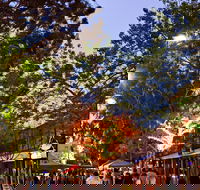 Alice Springs Town Council Night Markets - Tourism Adelaide